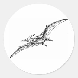 Adesivo Redondo Pterodactyl