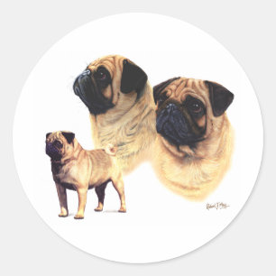 Adesivo Redondo Pug