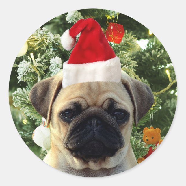 Adesivo Redondo Pug Cachorro Cachorro Pomada em Árvore de Natal Sn (Frente)