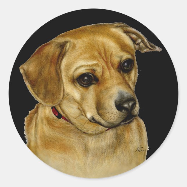 Adesivo Redondo Pug Dachsy Sticker (Frente)