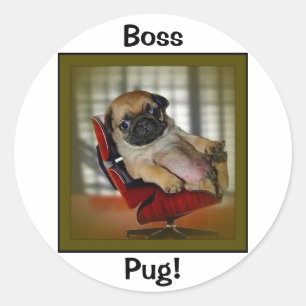 Adesivo Redondo Pug do chefe!