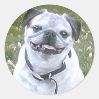 Adesivo Redondo Pug Dog Sticker