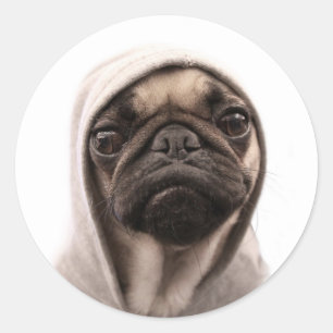 Adesivo Redondo Pug em um Hoodie
