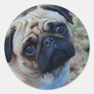 Adesivo Redondo Pug Esperançoso
