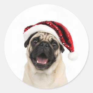 Adesivo Redondo Pug Feliz Usando Chapéu Vermelho de Natal Brilhant