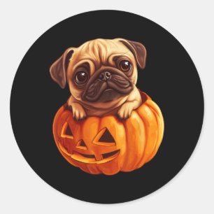 Adesivo Redondo Pug In Pumpkin Halloween Pugkin Cute Pug Halloween
