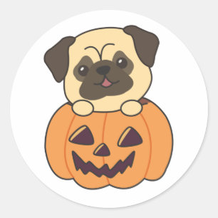 Adesivo Redondo Pug In Pumpkin Sweet Dogs Happy Halloween