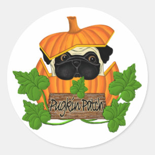 Adesivo Redondo Pug Pumpkin Patch