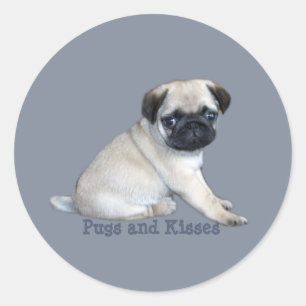 Adesivo Redondo Pug Sticker