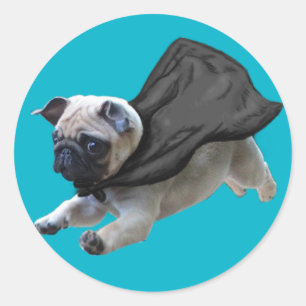 Adesivo Redondo Pugs pegajosos