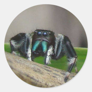 Adesivo Redondo Pulseiras