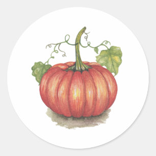 Adesivo Redondo Pumpkin Bonito Com Vinhas Em Aquarela