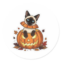 Pumpkin Peek Siamese - Gato Siamês do Dia das Brux