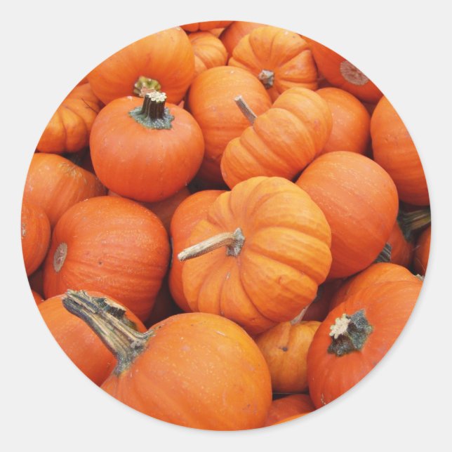 Adesivo Redondo Pumpkin Sticker (Frente)