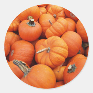 Adesivo Redondo Pumpkin Sticker