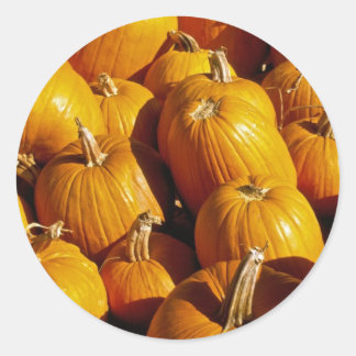 Adesivo Redondo Pumpkin Stickers