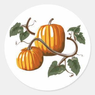 Adesivo Redondo Pumpkin Vine Pumpkins Sticker
