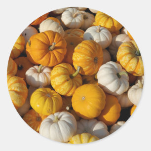 Adesivo Redondo Pumpkins