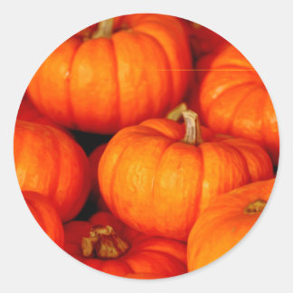 Adesivo Redondo Pumpkins