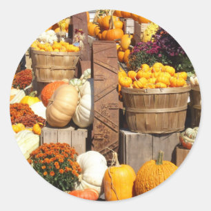 Adesivo Redondo Pumpkins com punhos brilhantes