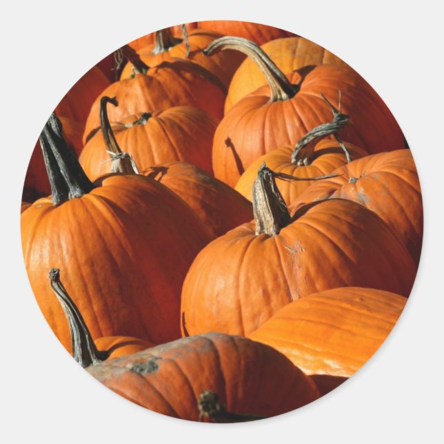 Adesivo Redondo Pumpkins Sticker (Frente)