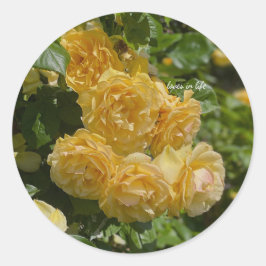 Adesivo Redondo Punhado de Rosas de Jardim Amarelas 