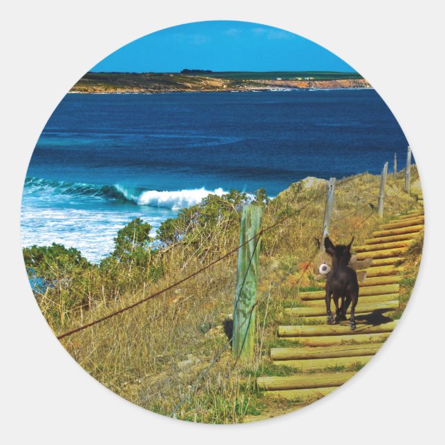 Adesivo Redondo Puppia-Penteada-Chinesa, Vapor-Ursinho-Redondo (Frente)