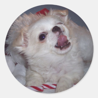 Adesivo Redondo Puppins de Natal