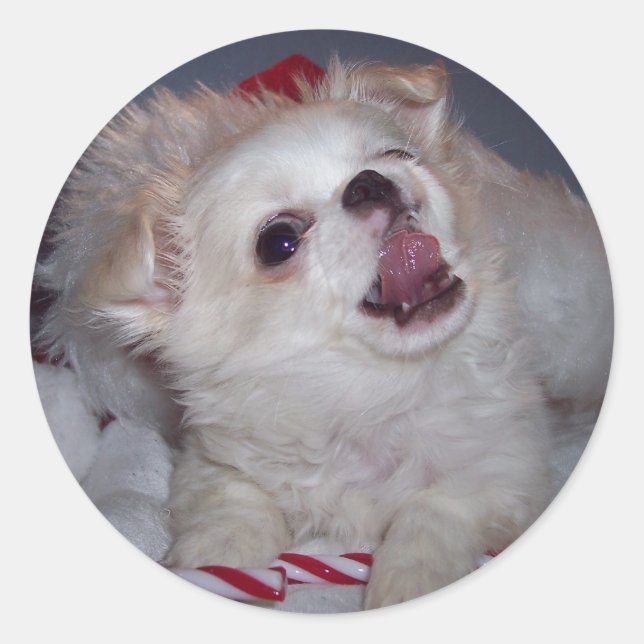 Adesivo Redondo Puppins de Natal (Frente)