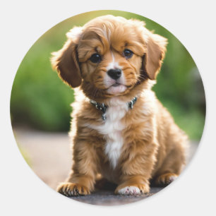 Adesivo Redondo Puppy