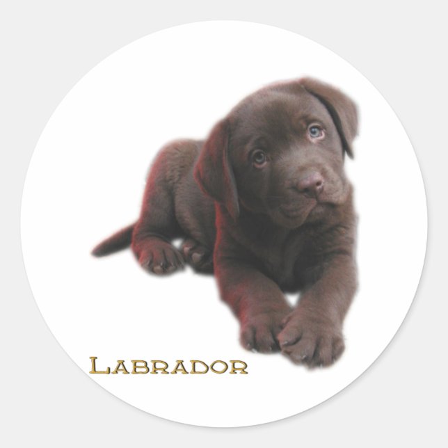 Adesivo Redondo Puppy Lab (Frente)