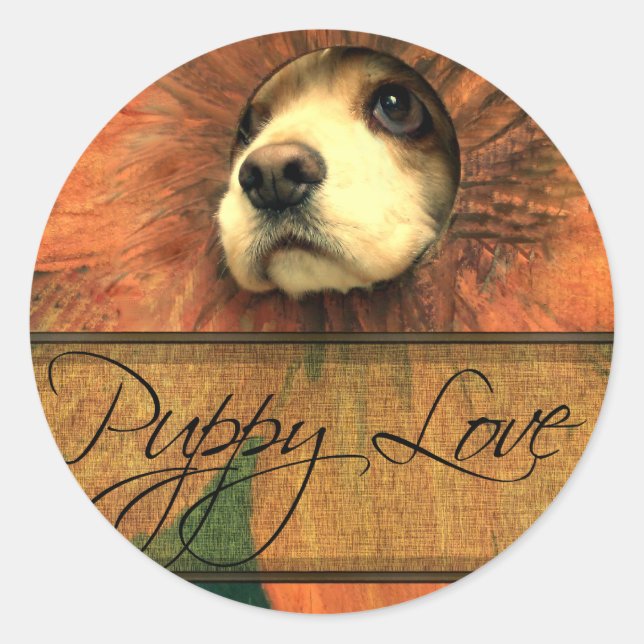 Adesivo Redondo Puppy Love Olhando através de uma cerca (Frente)