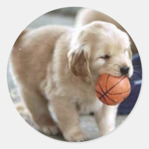 Adesivo Redondo Puppy Stickers