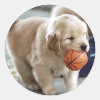 Adesivo Redondo Puppy Stickers