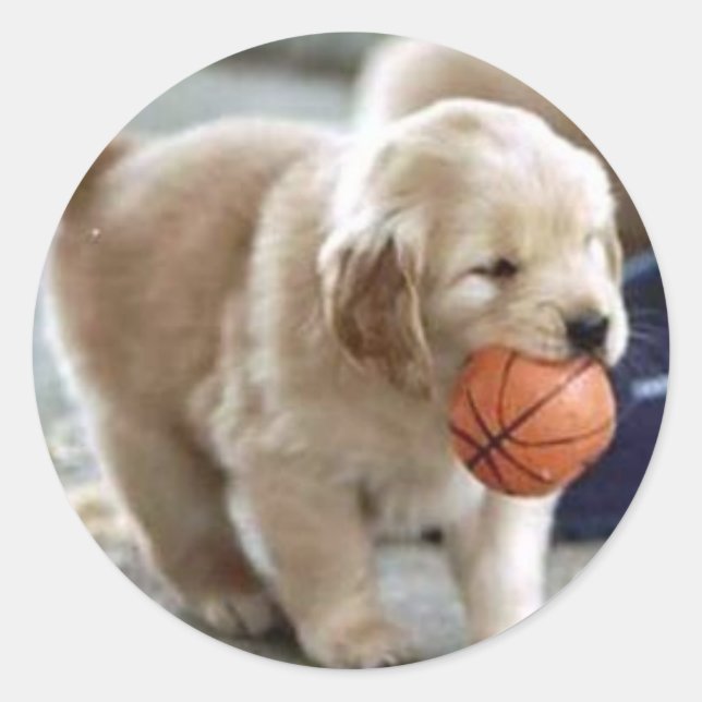 Adesivo Redondo Puppy Stickers (Frente)