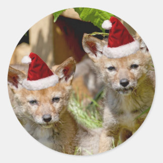 Adesivo Redondo Pups de Coyote de Natal