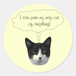 Adesivo Redondo Purga My Way Out of Any Stickers