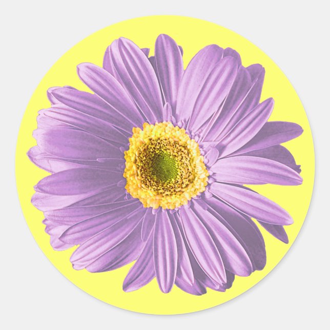 Adesivo Redondo Purple Daisy Flower (Frente)