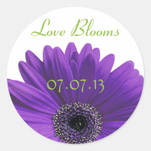 Adesivo Redondo Purple Gerbera Daisy Love Blooms Stickers