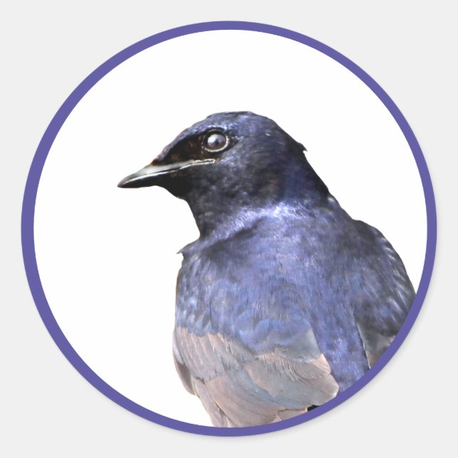 Adesivo Redondo Purple Martin (Frente)