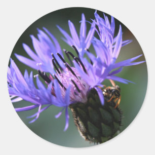 Adesivo Redondo Púrpura Blue Cornflower Gift Sticker