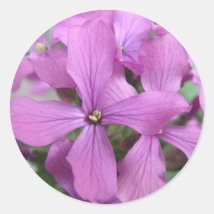 Adesivo Redondo Púrpura Flores Selvagens