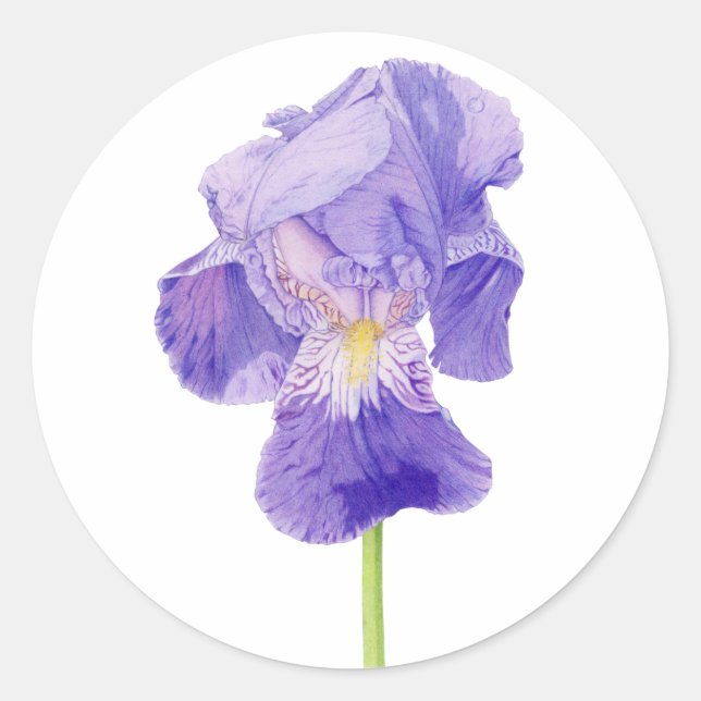 Adesivo Redondo Púrpura Iris Sticker (Frente)