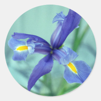 Adesivo Redondo Púrpura Levanta Palitos Decalados De Arte Flor
