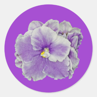 Adesivo Redondo Púrpura Violeta Africana