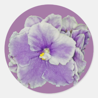 Adesivo Redondo Púrpura Violeta Africana