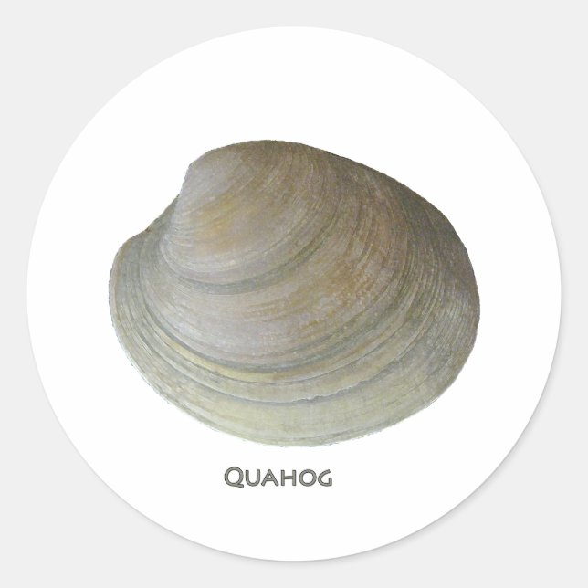 Adesivo Redondo Quahog Clam (Frente)