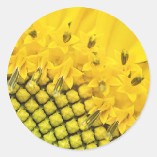 Adesivo Redondo quarto de sol