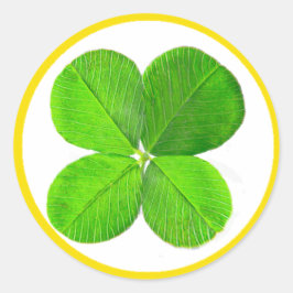 Adesivo Redondo Quatro Folhas De Pé O MUSEUM Zazzle Dons