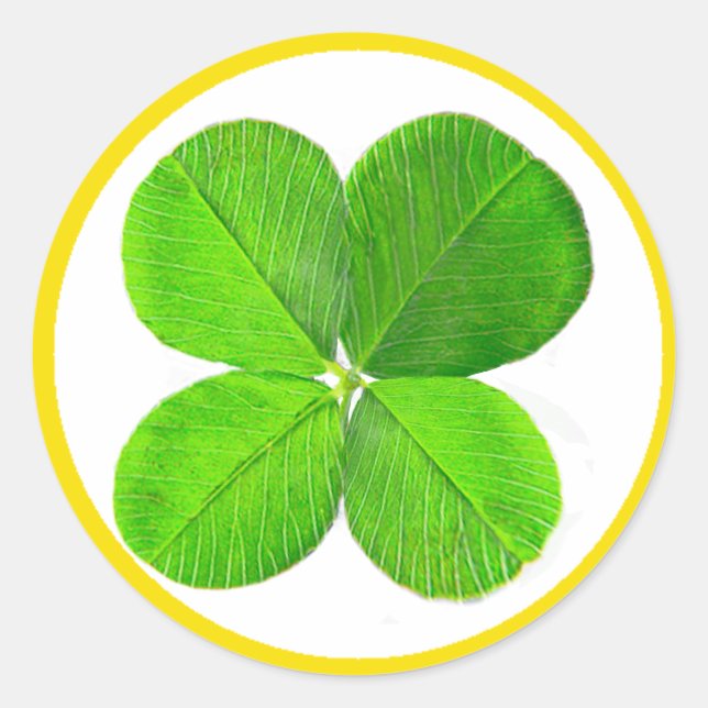 Adesivo Redondo Quatro Folhas De Pé O MUSEUM Zazzle Dons (Frente)